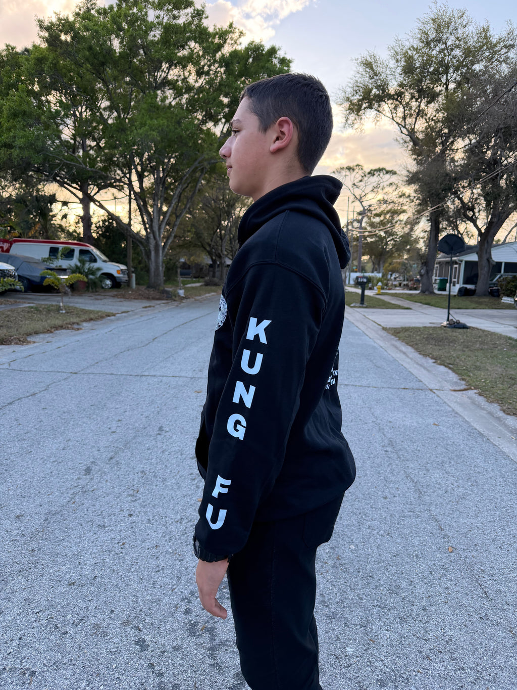 Chinese Martial Arts Hoodie